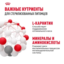 Royal canin sterilised 37 сухой корм для взрослых стерилизованных кошек - 2 кг