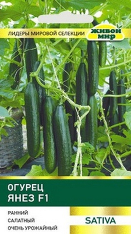 Огурец "ЖМ. Янeз F1" 5шт, Италия.