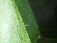 Бампер передний Porsche Macan (2014-2018)