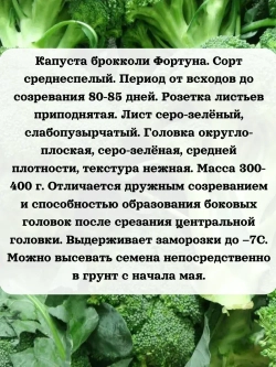 Семена Капуста брокколи Фортуна 5гр