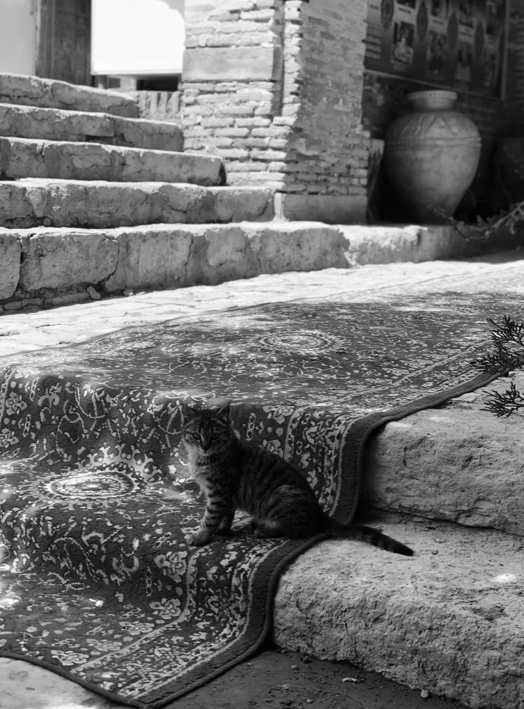 Улица и ее ритмы.