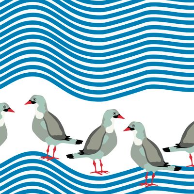 Чайки на волнах