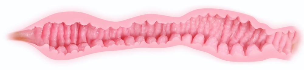 Телесный мастурбатор Veronia с двойным слоем материала (Цвет: телесный)