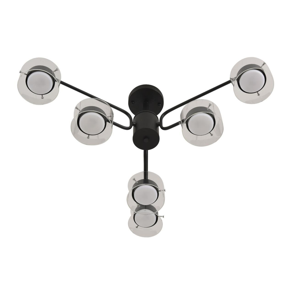 Потолочная люстра Lumion NATALINA 8349/6C