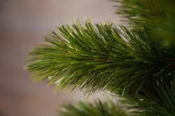 Сосна Триумф Норд 120 см., микс (леска+пвх), Triumph Tree (73075)