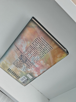 Генерал-адмирал. Взлет