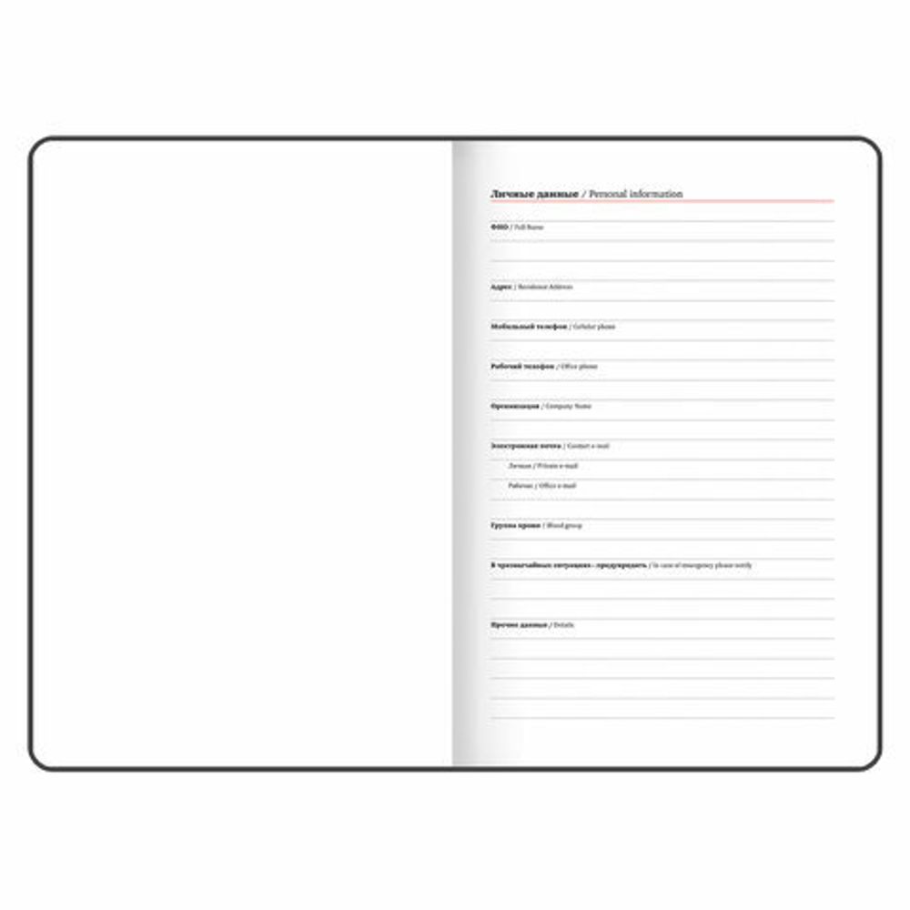 Еженедельник датированный 2025, А5, 145х215 мм, BRAUBERG "Party", под кожу, черный, 115970