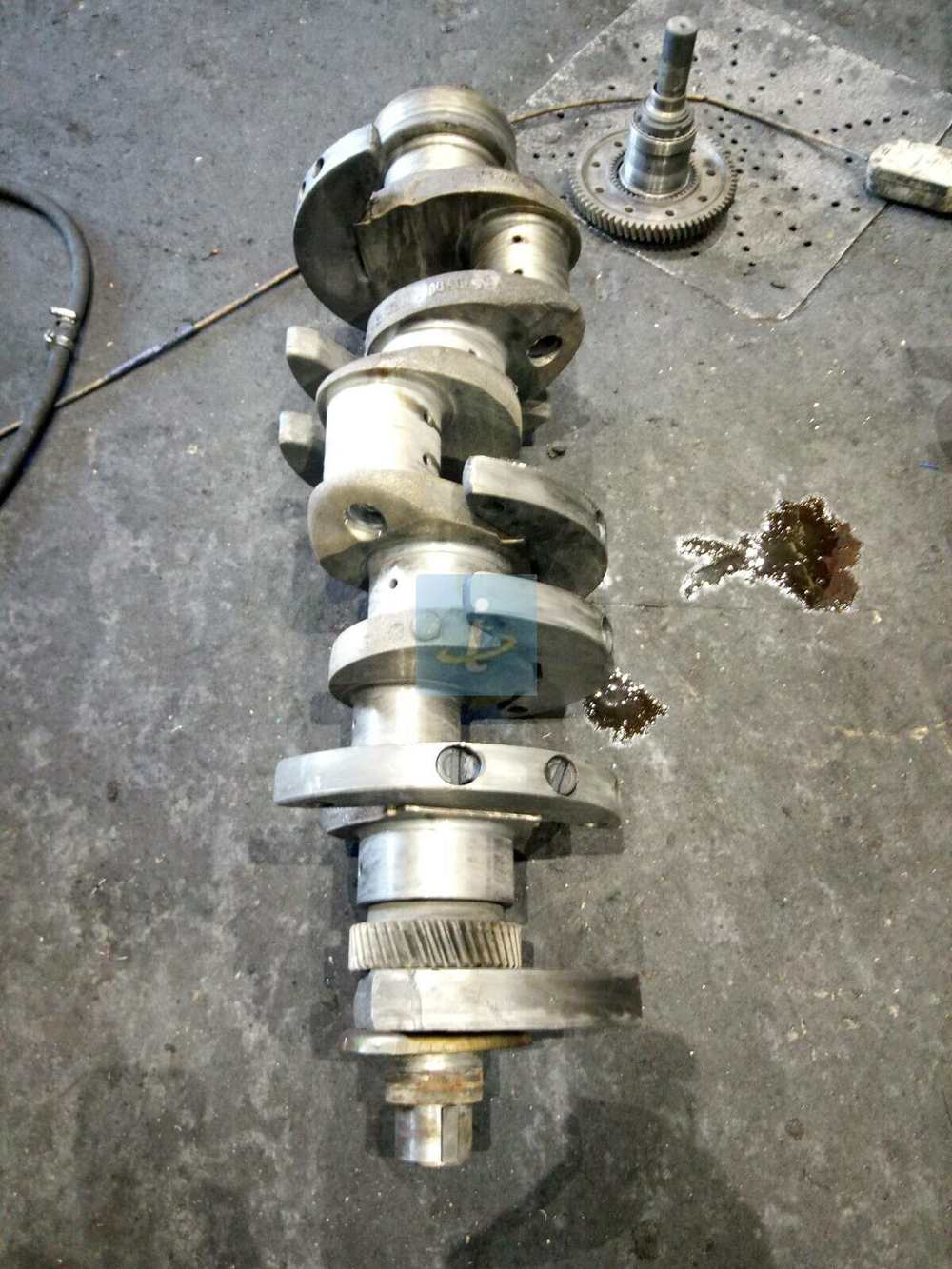 Вал коленчатый 236НЕ-1005009-Б