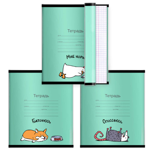 Обложка для тетрадей с рис. 3 шт. ФЕНИКС Герои с характером 350х216 мм (69103)