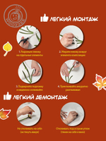 Наклейка декоративная А3 "Коллекция осенних листьев"