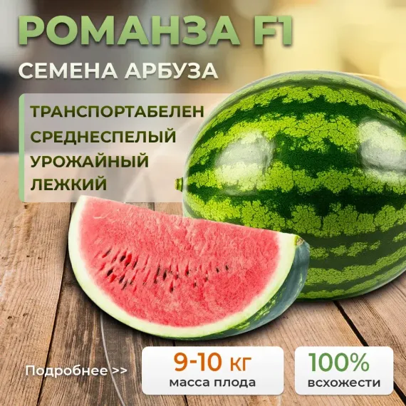 РОМАНЗА F1 семена арбуза (Syngenta | Alexagro)