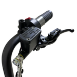 Электротрицикл CityCoco X5 trike mini черный