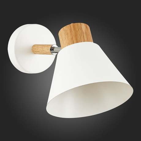 Светильник настенный Evoluce Buve SLE103701-01