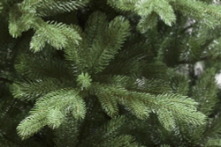 Ель искусственная Казанская Премиум 210 см.