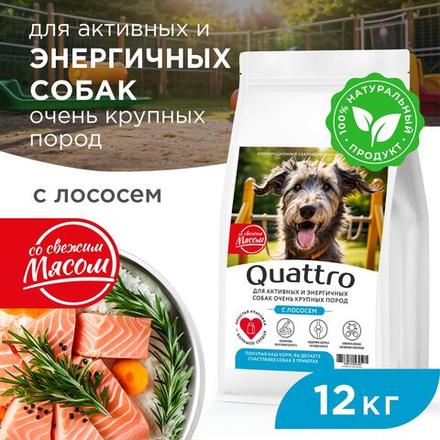 Корм сухой для взрослых собак очень крупных пород, премиум полнорационный комплекс, для активных и энергичных собак, с лососем, 12 кг, QUATTRO