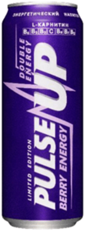 ПульсАп ЯГОДЫ 0,45/24 ЖБ