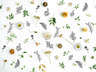 Дизайнерские обои Wall Street GreenDay-22