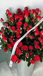 АКЦИЯ - красная кустовая роза - цена действует при заказе от 25шт