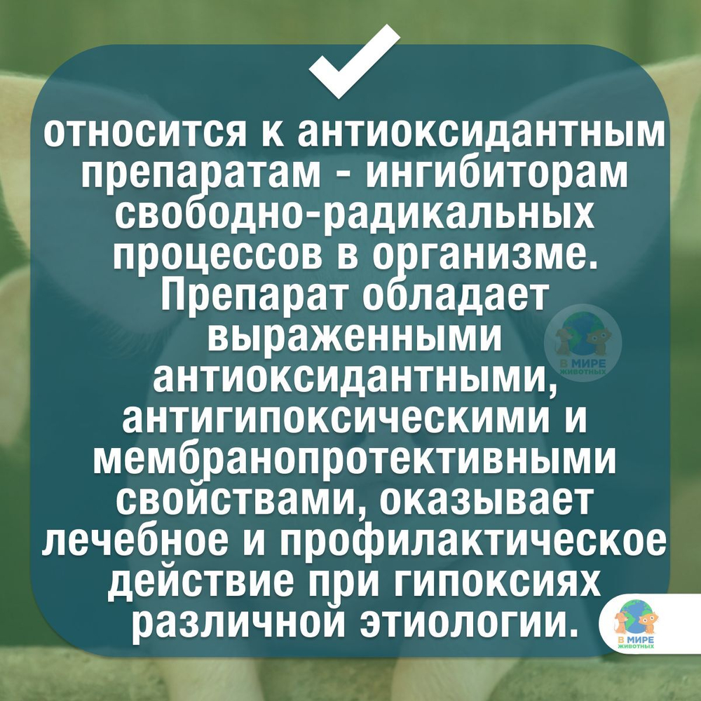 Эмидонол 10%, раствор для инъекций, препарат для лечения сердечно-сосудистой системы КРС, свиньям, лошадям, 100 мл. Эмидонол.