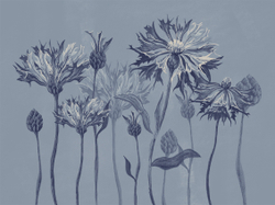 Коллекция SUMMERTIME