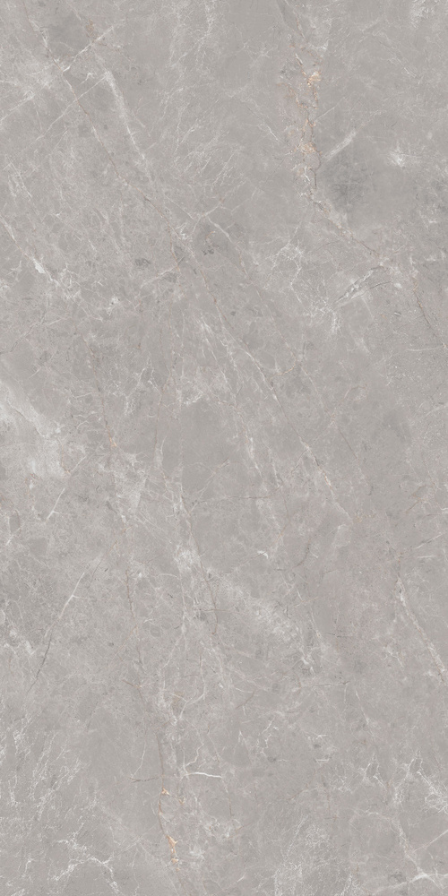 Керамогранит Anatolia Серый 60x120 GT1206019601MDGR