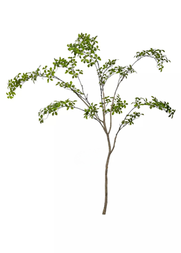 Баньяновое дерево ветвь 220 см без кашпо