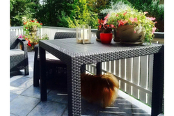 Мебель Tweet Стол обеденный Kvatro 940*940мм, венге