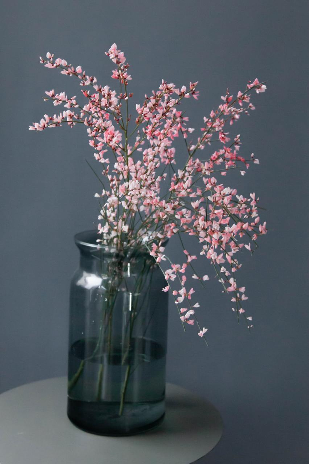 Монобукет Гениста Pink