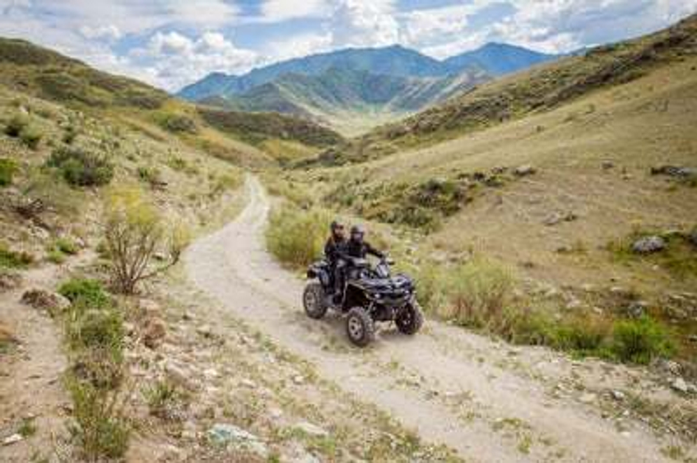 Квадроцикл СТЕЛС ATV 650 Guepard Trophy EPS CVTech (ПСМ)