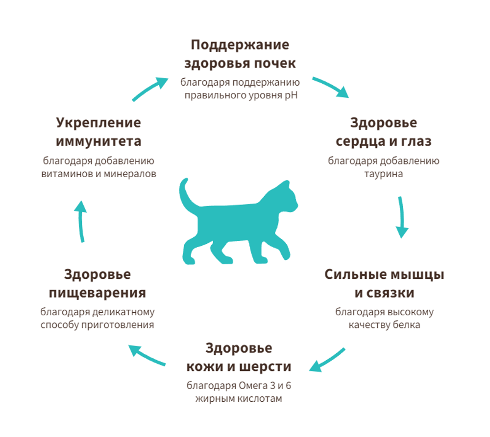 Grandorf Kitten (Ягненок и индейка)