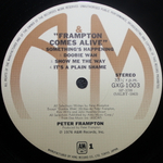 Peter Frampton / Frampton Comes Alive! (2LP)