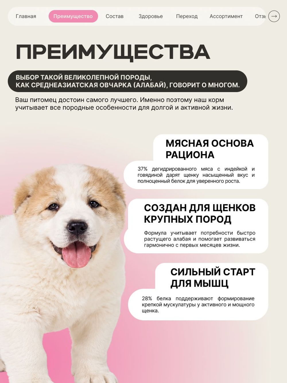 Корм сухой для щенков породы Среднеазиатская овчарка (Алабай), с говядиной, 3 кг, QUATTRO