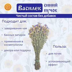 Василек пучок, 1 шт. ВАПЧ-00-001