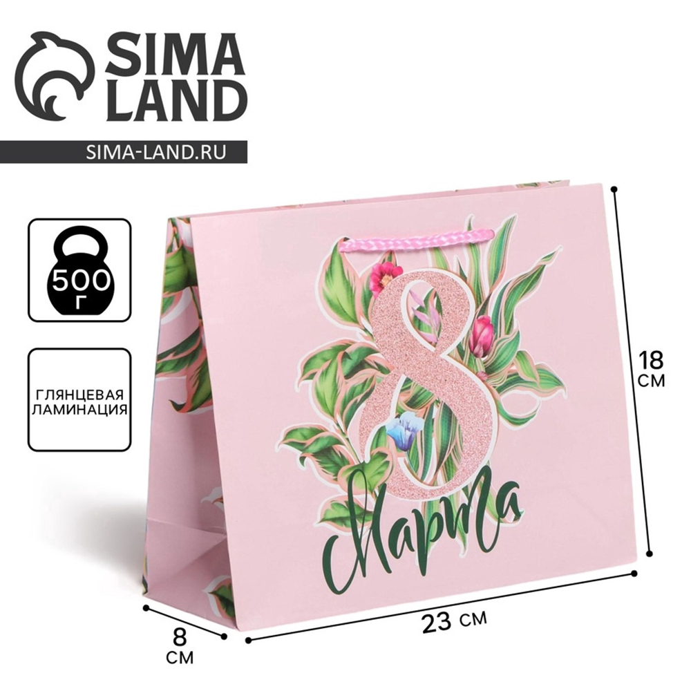 Пакет ламинированный горизонтальный «С праздником», MS 18 × 23 × 8 см 6631902