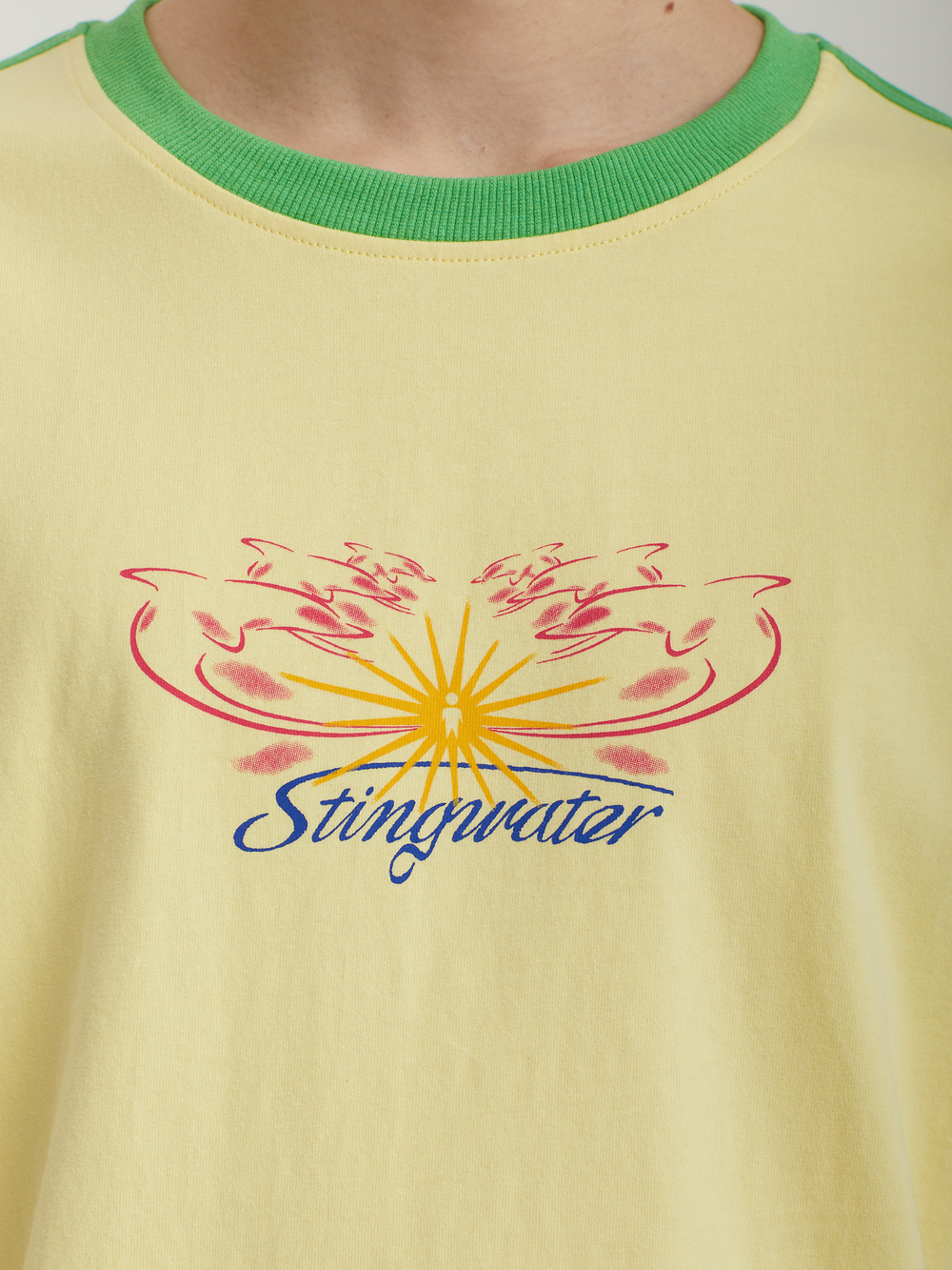 Мужская Футболка Stingwater Dolphins