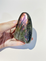 Срез Лабрадора S