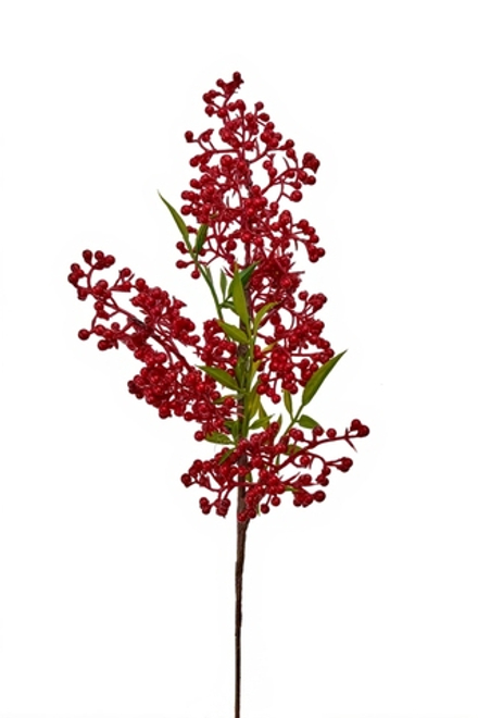 Илекс ветка малая