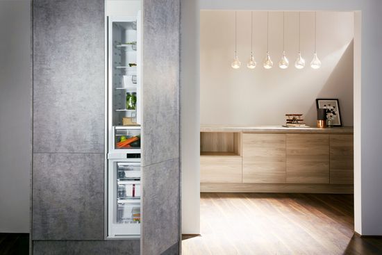 Встраиваемый холодильник Hotpoint-Ariston B 20 A1 FV C/HA