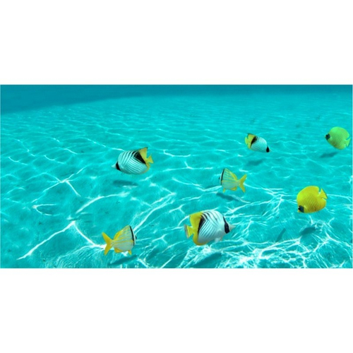 Экран п/ван пласт. АРТ 1,48м (Подводная одиссея)