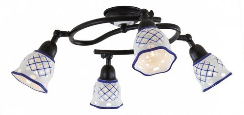 Спот Citilux CL534541