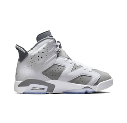 Мужские кроссовки Air Jordan 6 retro "cool grey" CT8529-100