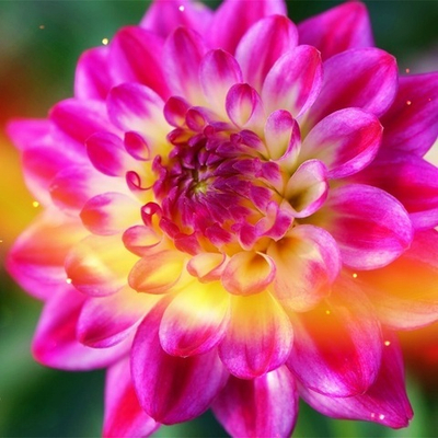 Вебинар-Интенсив 
"Эмоциональная Алхимия". Часть 10