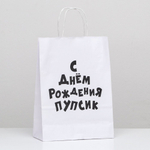 Пакет подарочный С днем рождения пупсик 24х10х30 см