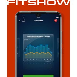 Беговая дорожка Titanium Masters Physiotech X-Compact