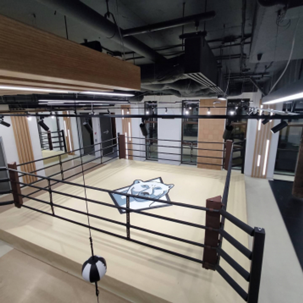 Ринг боксерский TARGEX на помосте высотой 0,3 м