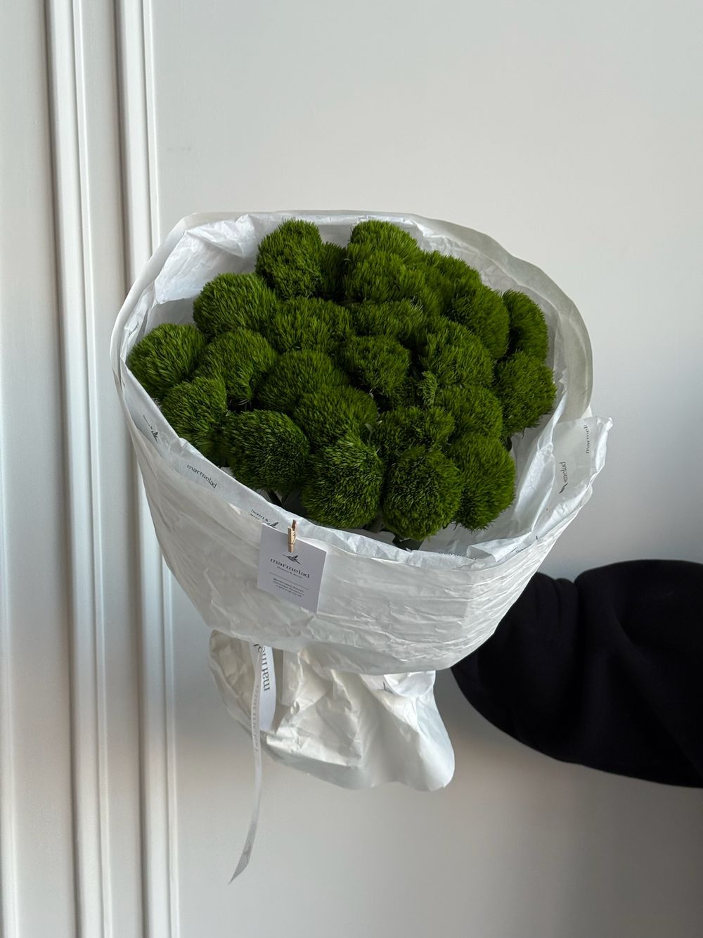 Моно букет из диантусов сорта Грин трик 25 шт