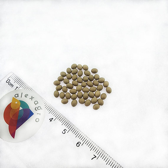 МАКСИМУС семена салата Rijk Zwaan семена – фото 12