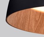Потолочный светильник C0207-500A Black and Wood