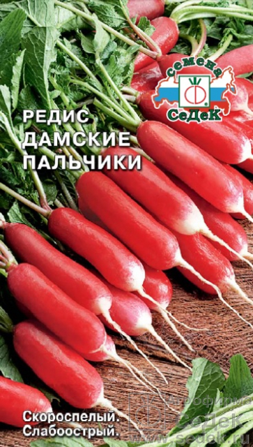 Редис, репа, редька