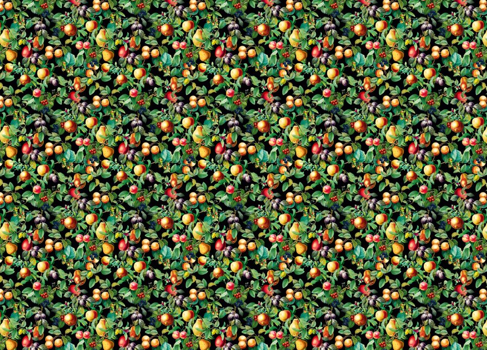 Gloockler Pompoos Provence